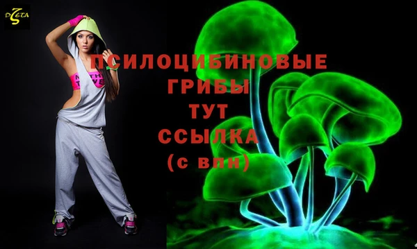 молекула духа Нефтекумск
