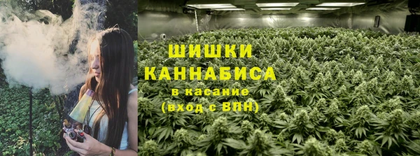 молекула духа Нефтекумск