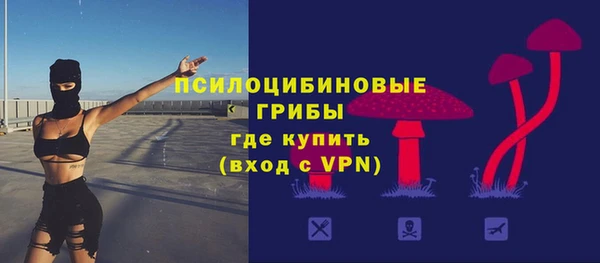 соль ск Навашино