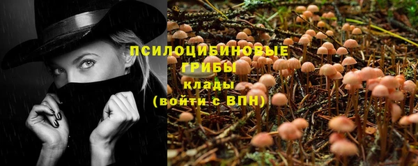 соль ск Навашино