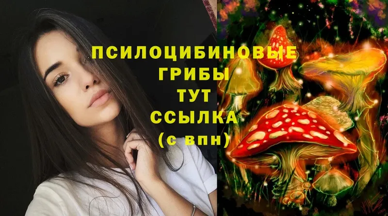 Псилоцибиновые грибы MAGIC MUSHROOMS  даркнет официальный сайт  Мышкин 